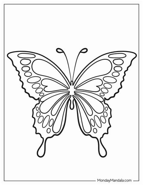 Swallowtail Butterfly Coloring Book Pages