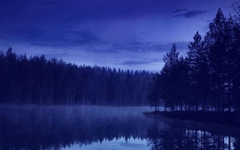 Night Forest River Nature Hd Wallpaper
