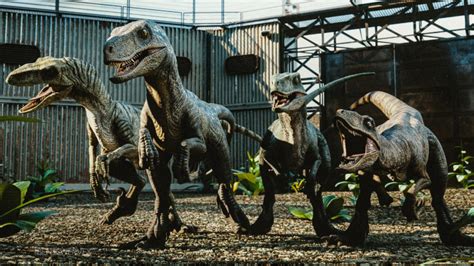 Jurassic Park Was ‘wrong About Velociraptor Behavior Daily News