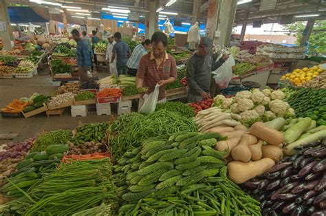 Agrifresh Market Home Fresh Vegetables Wholesale Price
