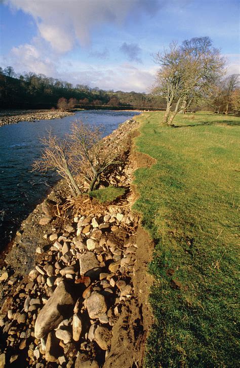 Erosion Of A Riverbank Photograph By Simon Fraserscience Photo Library