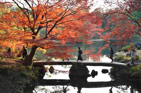 The 10 Best Autumn Leaves Spots In Tokyo You Must Visit