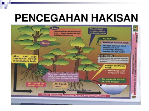 Ppt Tema 3 Tumbuh Tumbuhan Semula Jadi Dan Hidupan Liar Powerpoint