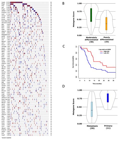 Pancreatic ductal adenocarcinoma (pdac) is a malignancy characterized by a poor prognosis and high mortality rate. Early progression drivers in SB_PDAC tumors. An oncoprint ...