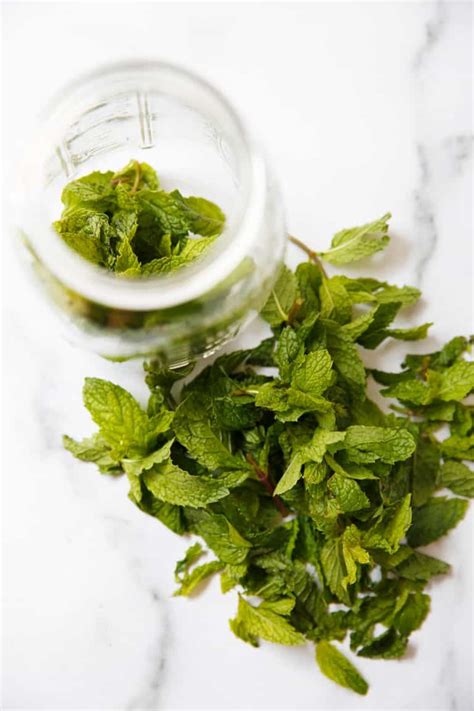 10 Versatile Ways To Use Fresh Mint Leaves Lexis Clean Kitchen