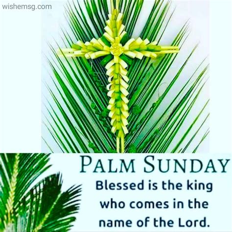 200happy Palm Sunday Greetings Wishes Message Wishemsgcom