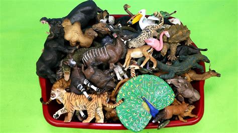 Papo Wild Animal Figurines Toy Collection Learn Animal Names Youtube