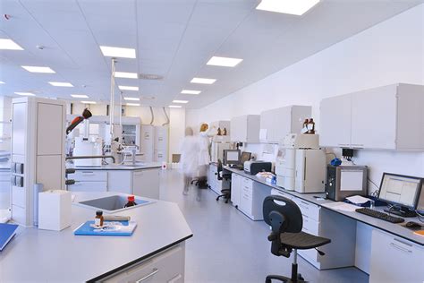 School Of Pharmacy And Pharmaceutical Sciences Brilliant Future The