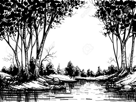 Black and white forest background clipart images gallery for free. jungle background clipart black and white - Clipground