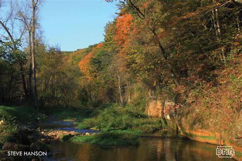 Yellow River State Forest | State forest, River, Yellow river