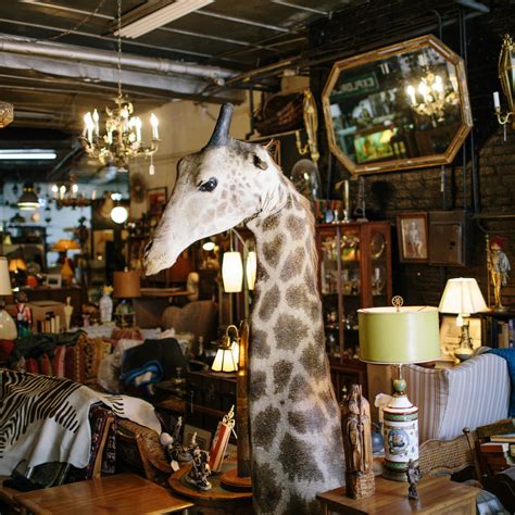 Eclectic Collectibles and Antiques in Williamsburg Is a Cabinet of