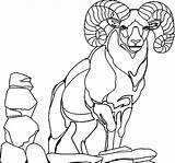 Goat Coloring Mountain Male Alpha Fight Standing Chibi Headbutt Feet Goats Colorluna sketch template
