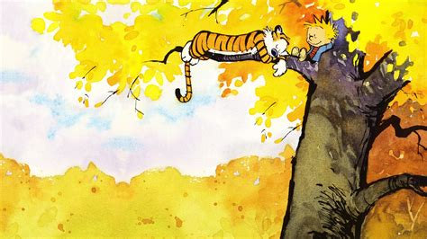 Calvin Et Hobbes Tome 24 Daily Passions