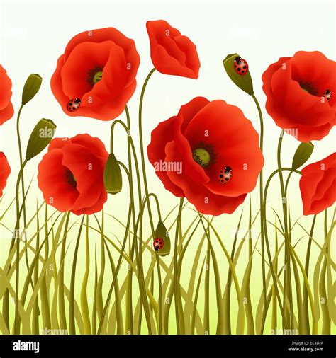 Red Romantic Poppy Flowers And Grass With Ladybugs Wallpaper Vector