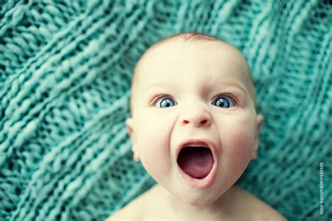 A community for images, videos, discussions, artwork, and everything dachshund related. The Schultzes Blog | Baby photography, Kids goals ...