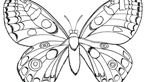 Small Butterfly Coloring Pages at GetColorings.com | Free printable colorings pages to print and ...