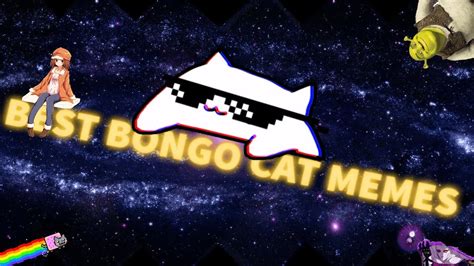 Block this member this member is blocked. Best Bongo Cat memes compilation #BongoCat - YouTube