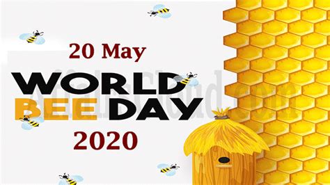 World Bee Day 2020 May 20