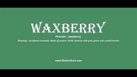 Waxberry Pronounce Waxberry With Phonetic Synonyms And Examples Youtube