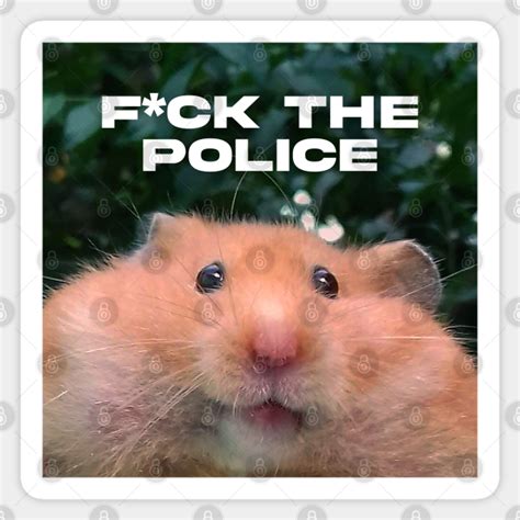 Funny Hamster Meme Hamster Sticker Teepublic