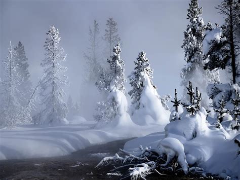 More images for wallpapers snow » wallpapers: Snow Wallpapers