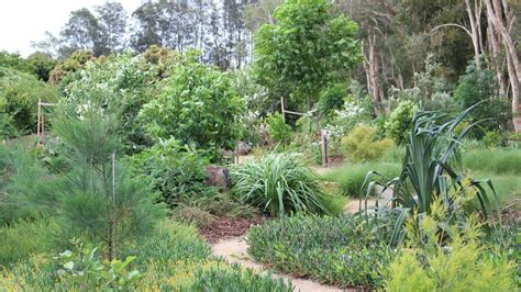 Gold Coast Regional Botanic Gardens Backyard Tourist Gold Coast Bulletin