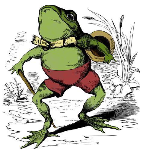 Frog Vintage Drawing Free Stock Photo Public Domain Pictures