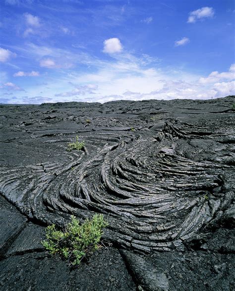 Cooled Pahoehoe Lava From A Volcano Photograph By Simon Fraser Science Photo Library Pixels Merch