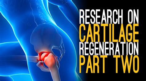 Cartilage Regeneration With Dr Zeng Part 2 Youtube