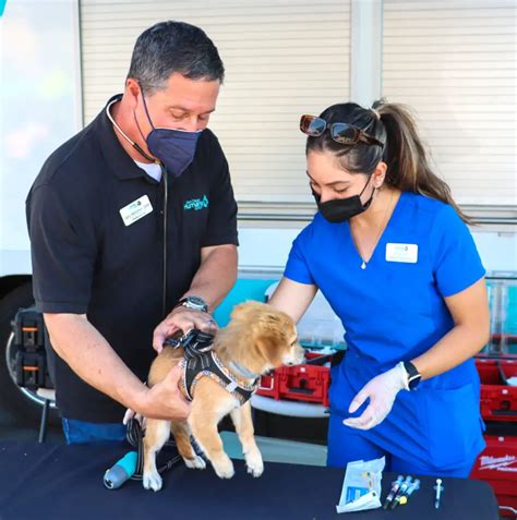 New Program Provides Low Cost Veterinary Services The Coast News Group