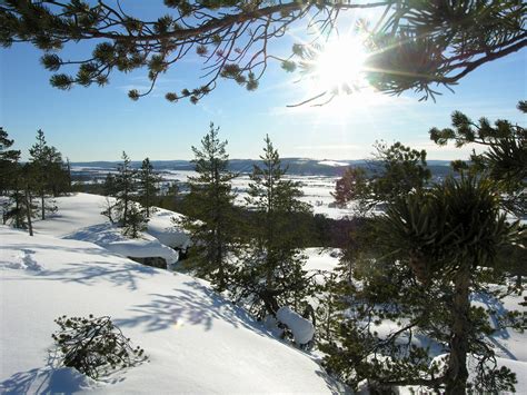 Early Spring Views From Pello In The Tornio River Valley In Lapland