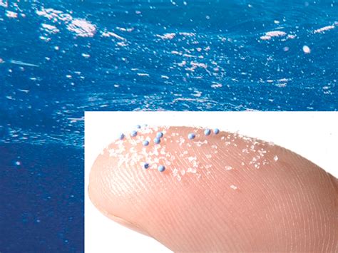 Microplastiche Cosa Sono Dove Si Trovano E Quante Ne Ingerisci Ohga