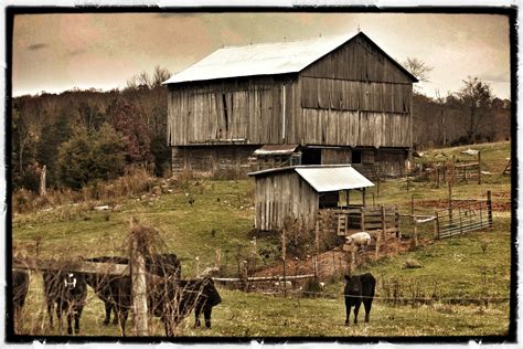 Climbing the Digital Mountain : Old Barns and Outbuildings on a Working ...
