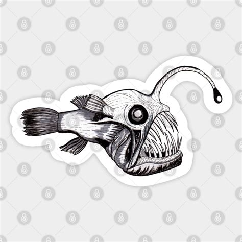 Angler Fish Ink Illustration Angler Fish Sticker Teepublic