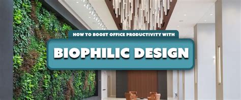 How To Boost Office Productivity With Biophilic Design Yorkshore
