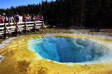 Upper Geyser Basin Yellowstone National Park Wy