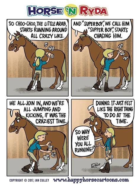 Credit Horse N Ryda Funny Horse Memes Funny Horses Horse Jokes