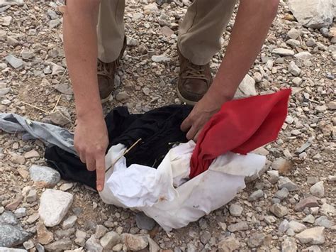 More Dead Animals Found Dumped In The Desert Outside Las Vegas Ksnv