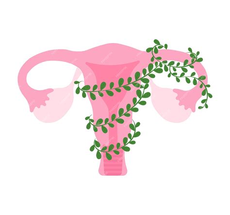 Premium Vector Pink Vagina With Leafs And Flowers