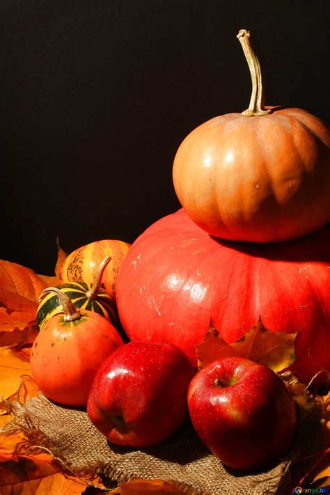 Download Free Picture Autumn Still Life With Apples And Pumpkins On Cc