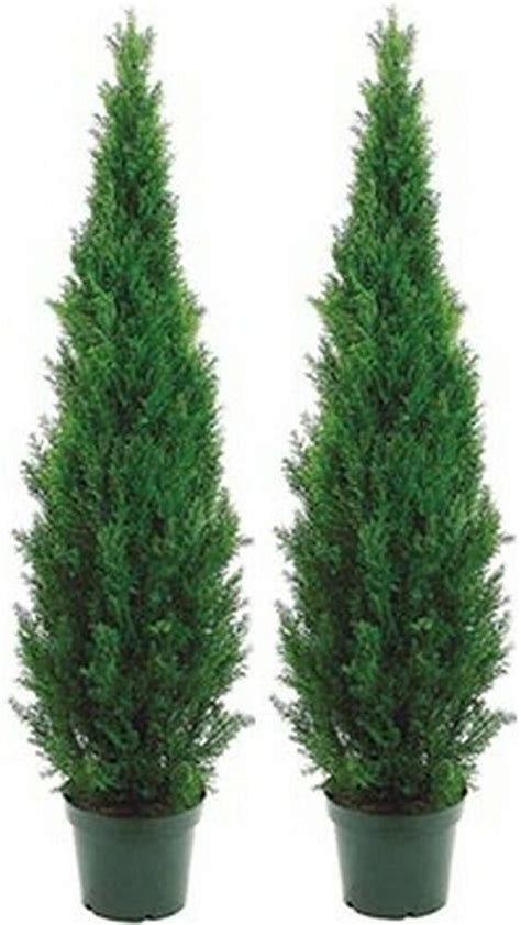 Two 5 Foot Outdoor Artificial Cedar Topiary Trees Potted Uv Rated