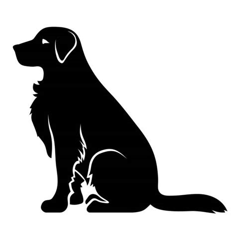 Dog Labrador Retriever Sitting Outline Illustrations Royalty Free