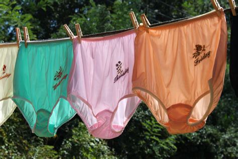 japanese panty clothes line