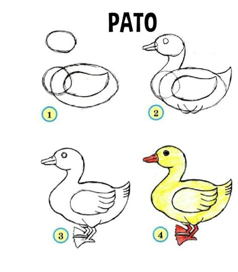 Pato Aprender A Dibujar Un Pato Para Niños Colorear Dibujos Infantiles