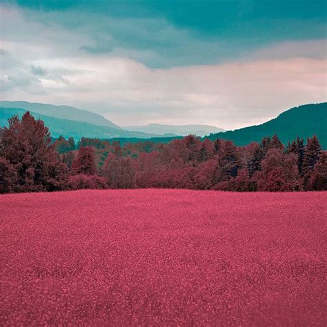 Pink Landscape By Ernst Vikne Landscape Scenery Landscape Photography
