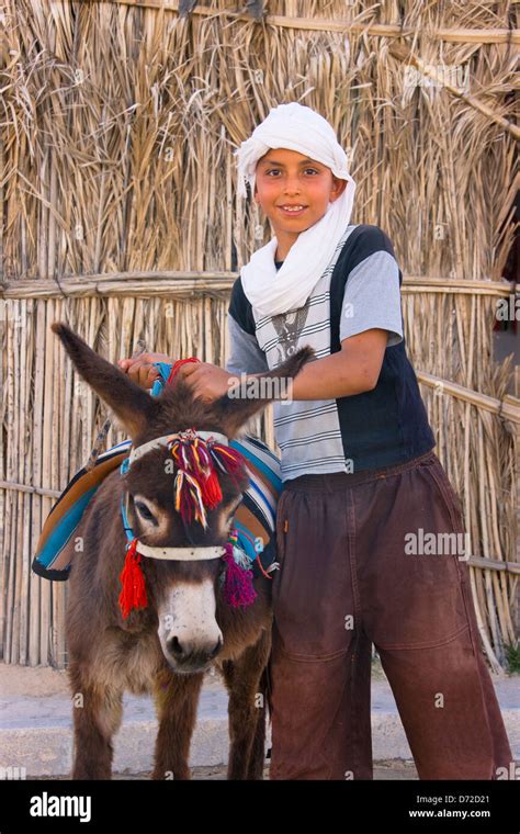 Boy Riding On Donkey Mountain Oasis Of Nefta Tunisia Stock Photo Alamy