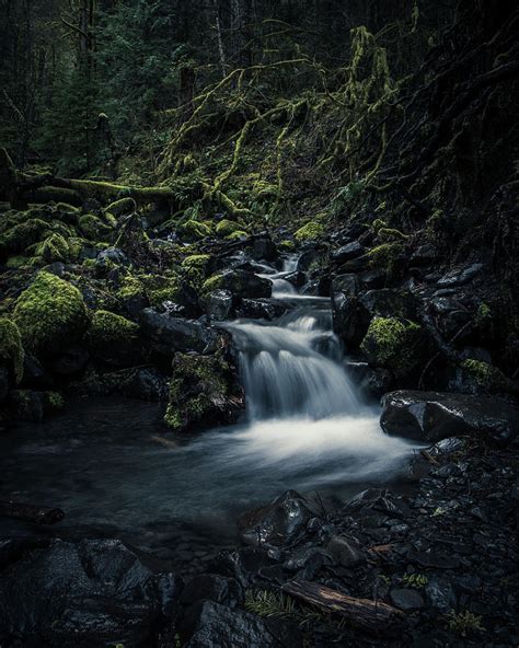 Hoh Rainforest Waterfall In The Olympic National Park Photograph By