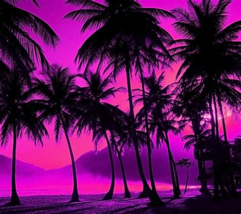 Purple Palms Beach Sunset Wallpaper Sunset Iphone Wallpaper Palm