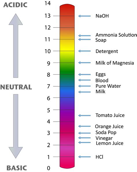 Applications Of Neutralization And Ph Scale Acids Bases My Xxx Hot Girl
