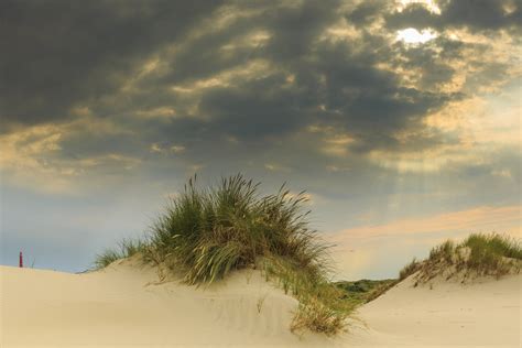English Summary - Dutch Dune Revival | Natuurmonumenten